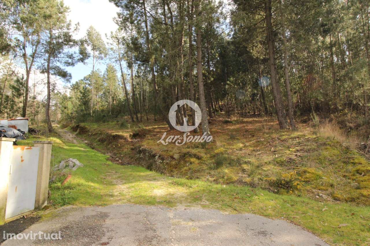 Terreno Nespereira Celorico de Basto - Grande imagem: 2/20