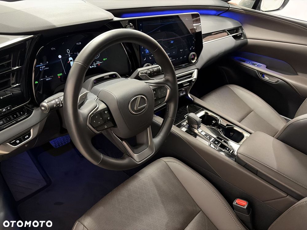 Lexus RX - 10