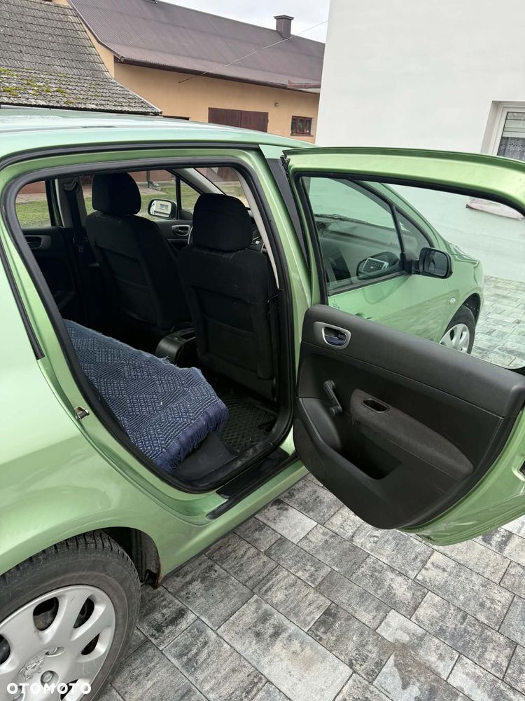 Peugeot 307 1.6 XS - 8