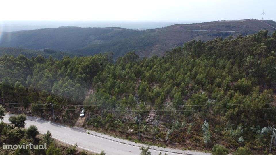 Terreno – Sever do Vouga - Grande imagem: 4/7