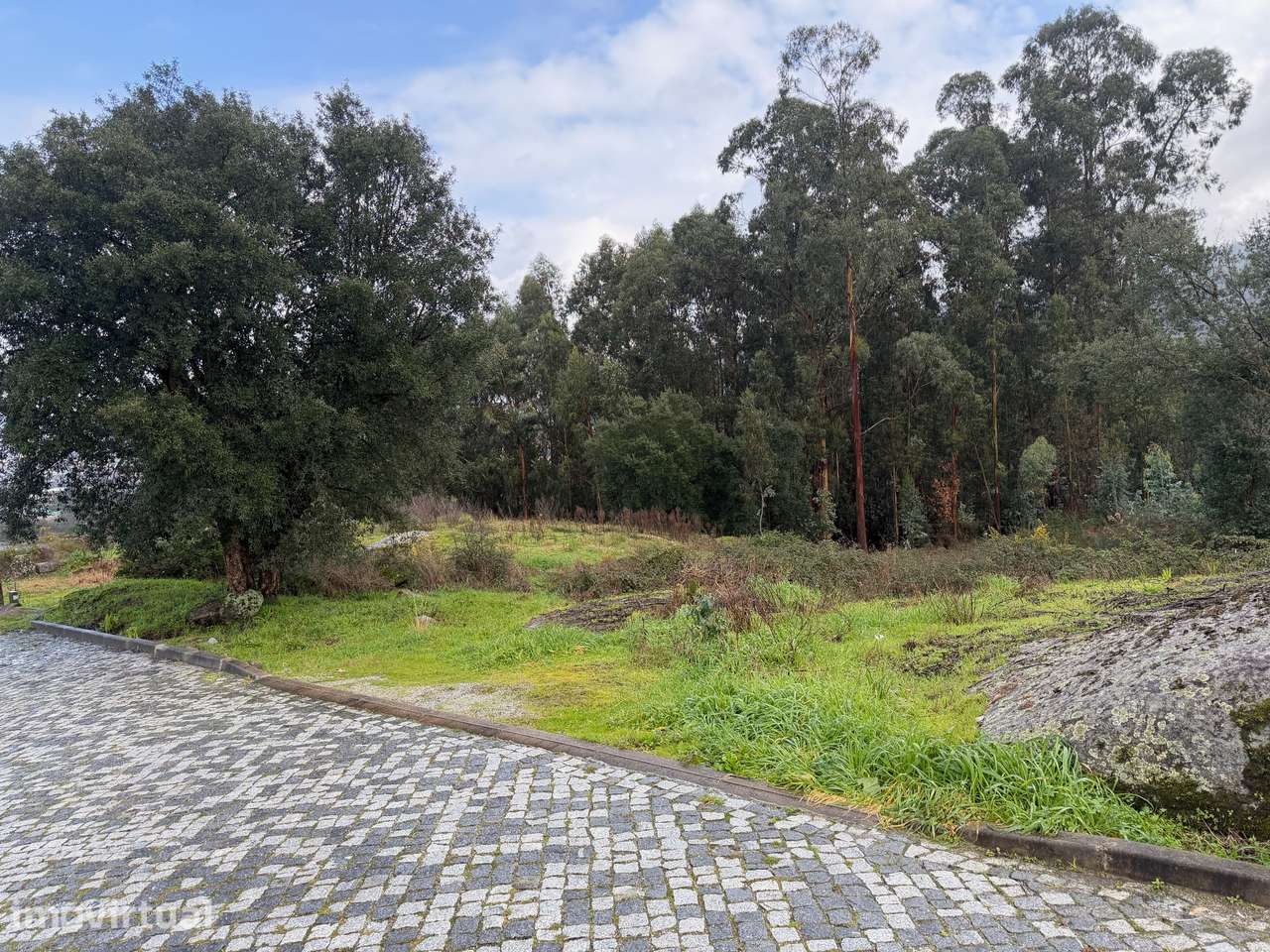 Terreno para construção 9000m2 Rebordões, junto à CITAST - Grande imagem: 2/5