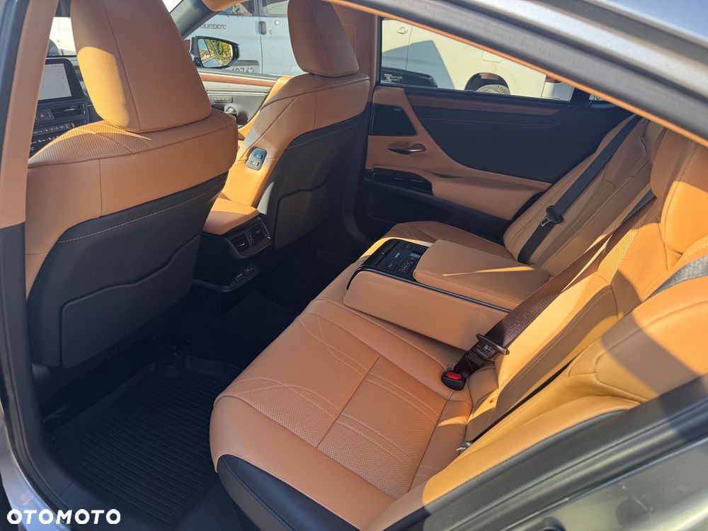 Lexus ES 300h Omotenashi - 12