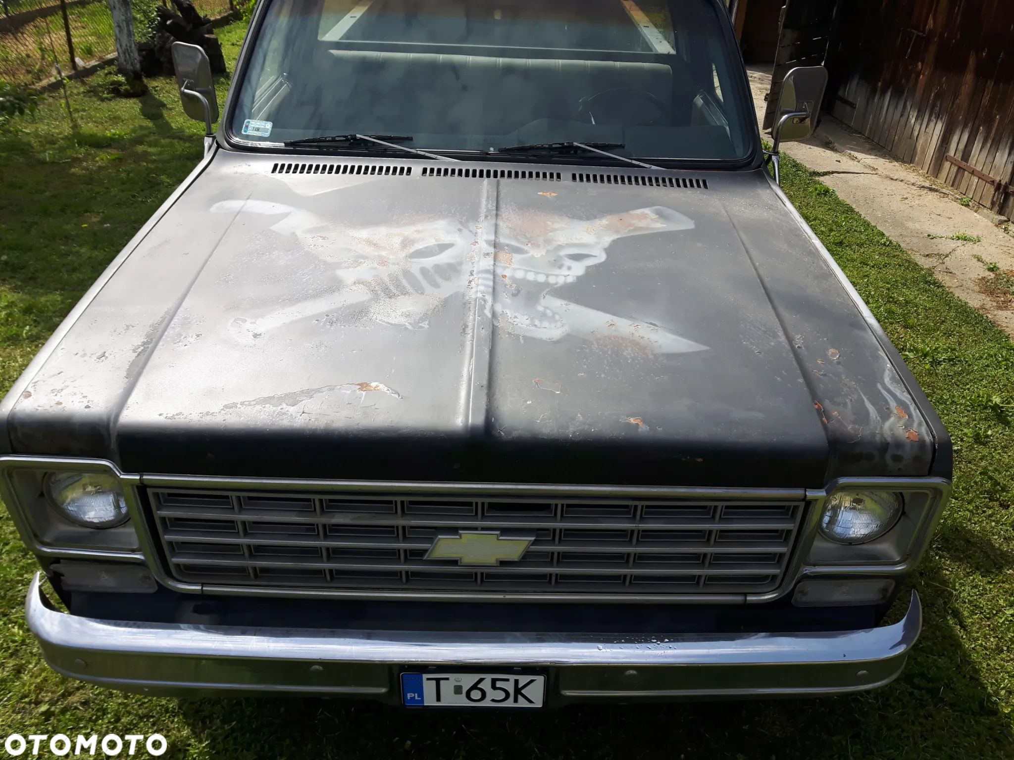 Chevrolet C-20 - 1