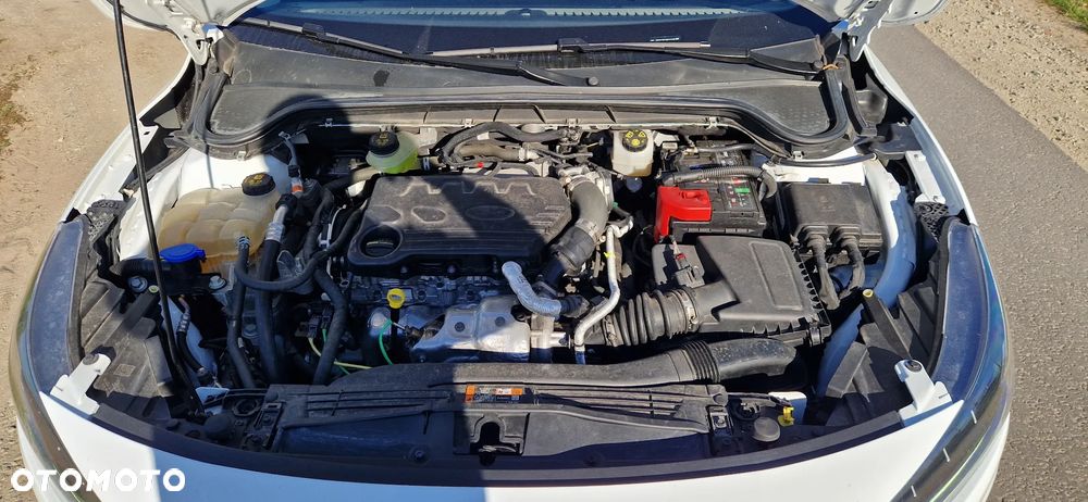 Ford Focus - 7