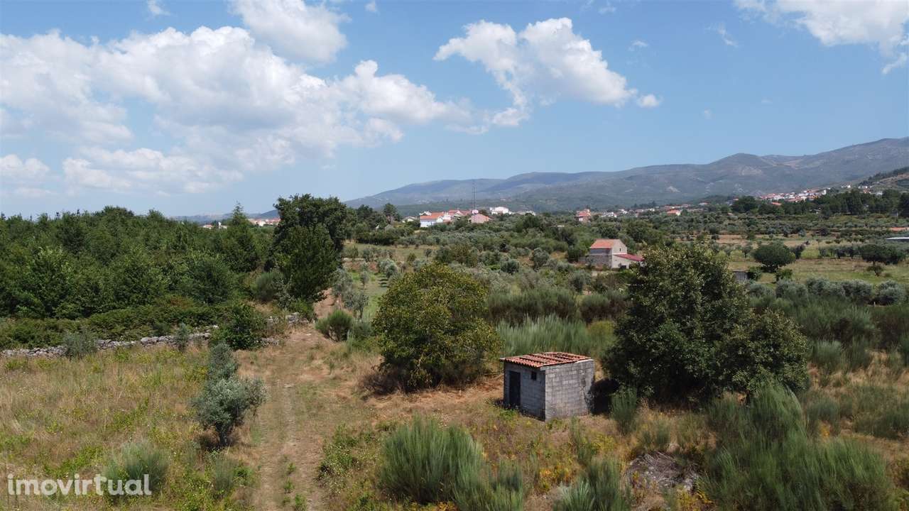 Terreno Rústico  Venda em Paços da Serra,Gouveia - Grande imagem: 2/8
