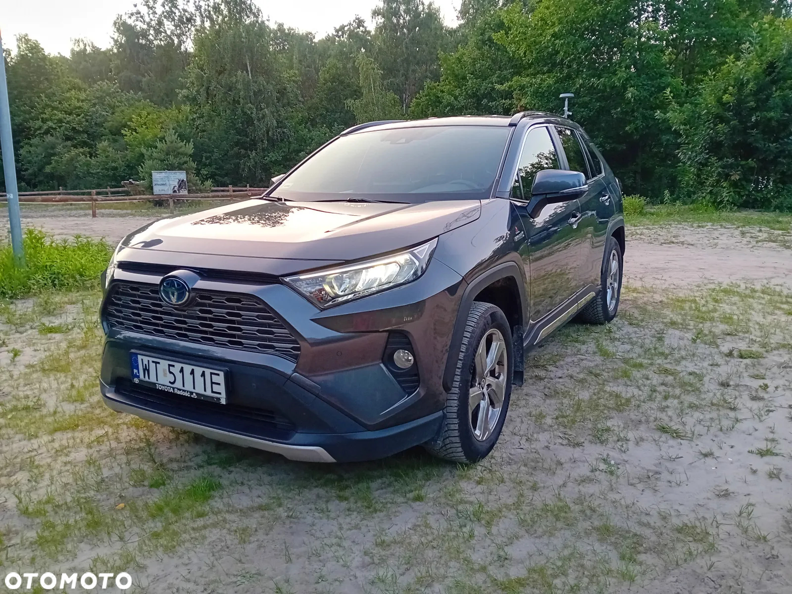 Toyota RAV4 2.5 Hybrid Comfort 4x2 - 6
