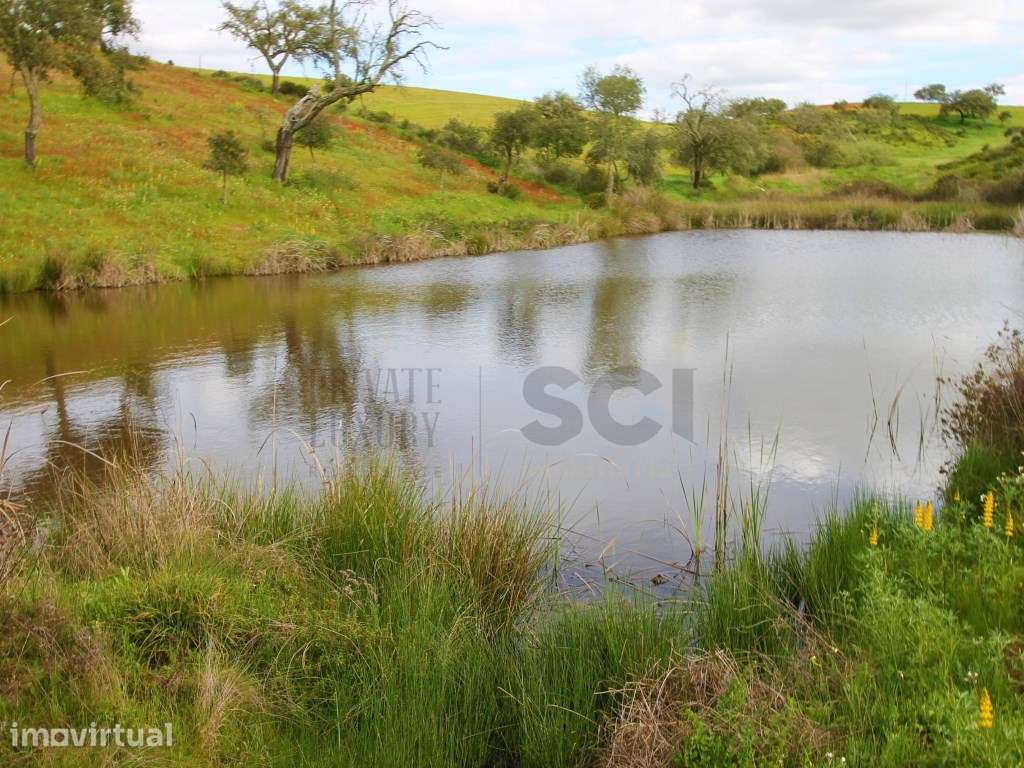 Herdade em Vila Nova de São Bento - Serpa com mais de 100 hectares ... - Grande imagem: 2/60