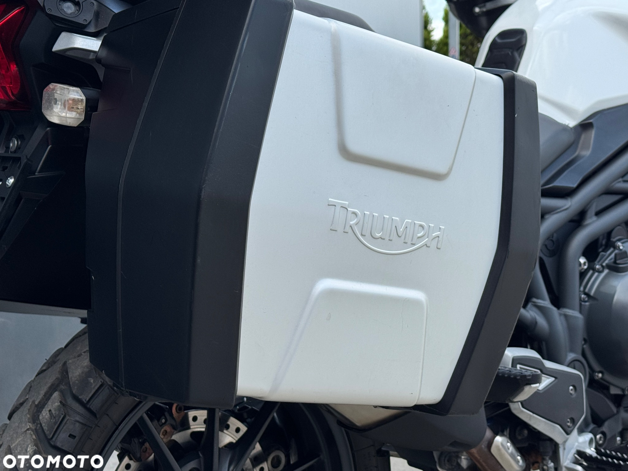 Triumph Tiger - 8