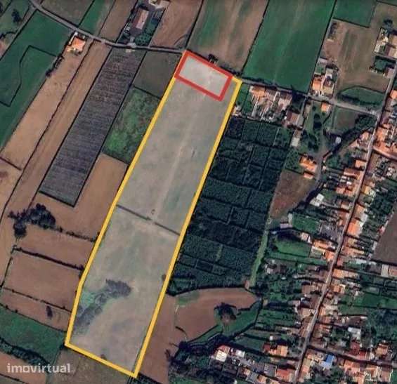 Terreno Agrícola - Pico da Pedra - Grande imagem: 2/8