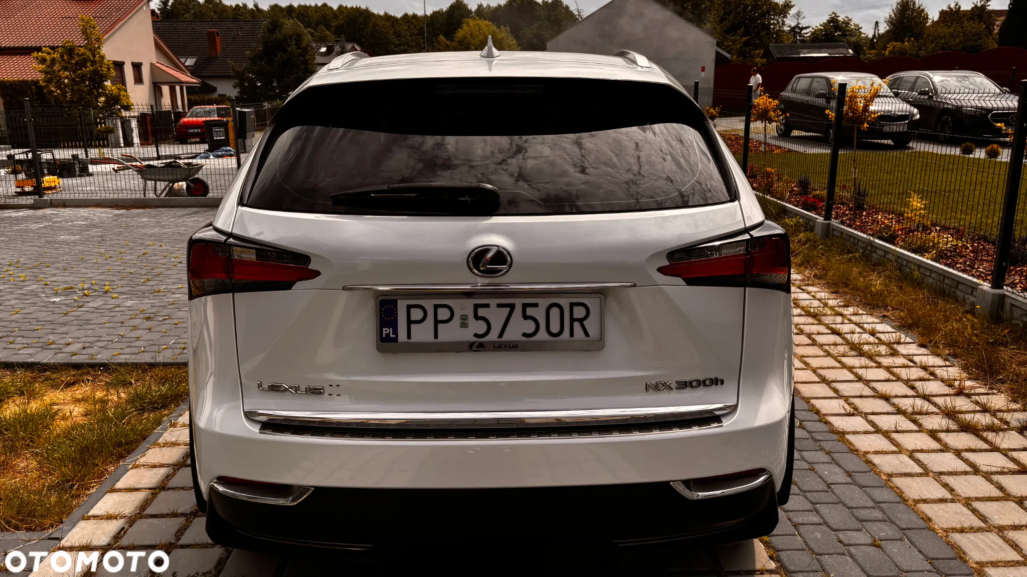 Lexus NX 300h Elite AWD - 7