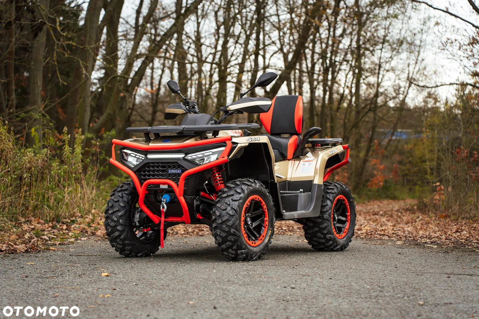 Linhai ATV - 12