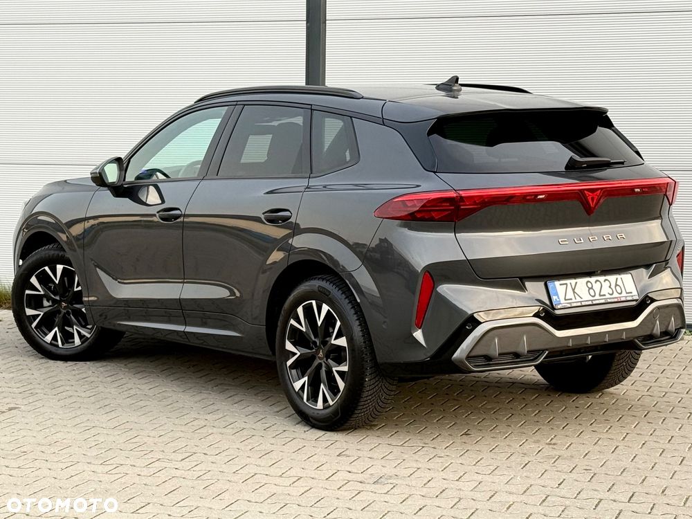 Cupra Terramar 1.5 eTSI DSG Tribe Edition - 18