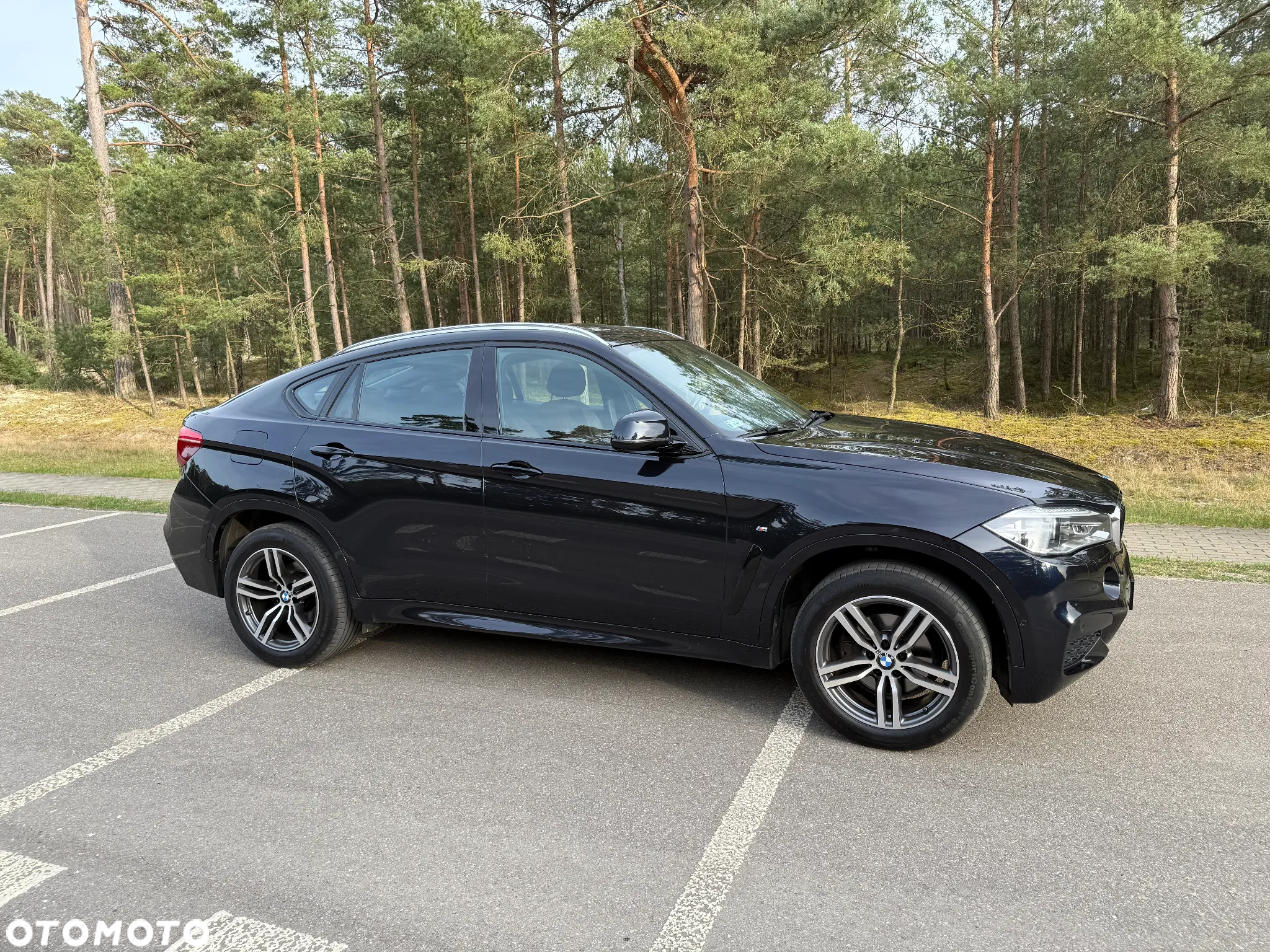 BMW X6 xDrive30d M Sport - 12