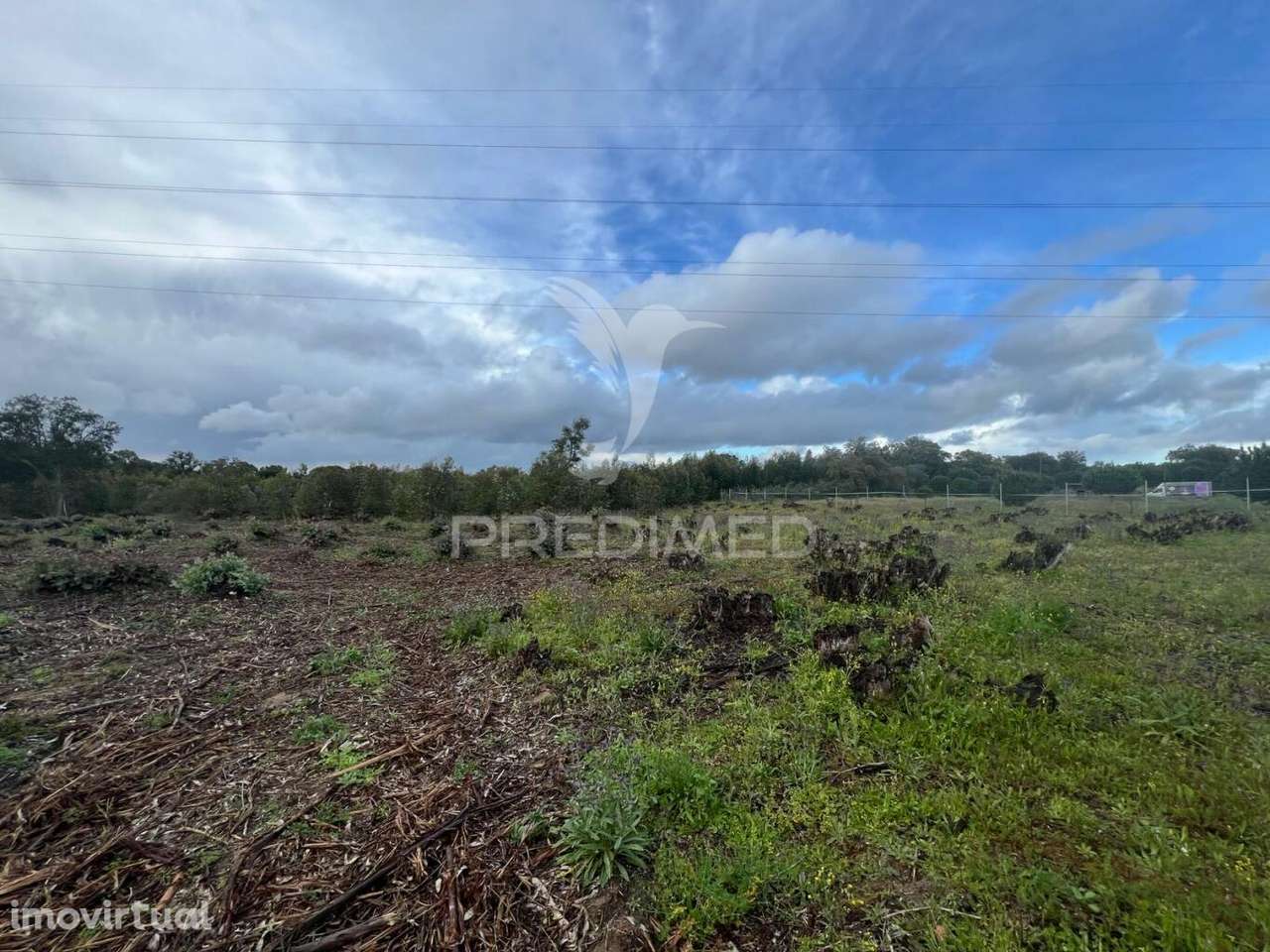 Terreno rústico na Lagoinha, em Palmela - Grande imagem: 4/8