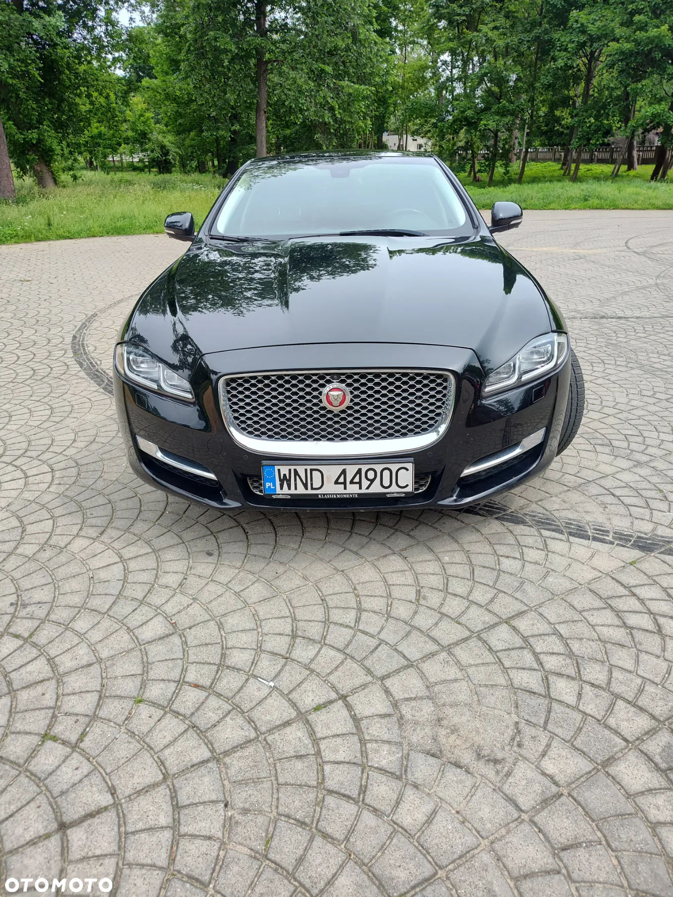 Jaguar XJ 3.0 V6 Diesel Portfolio - 2