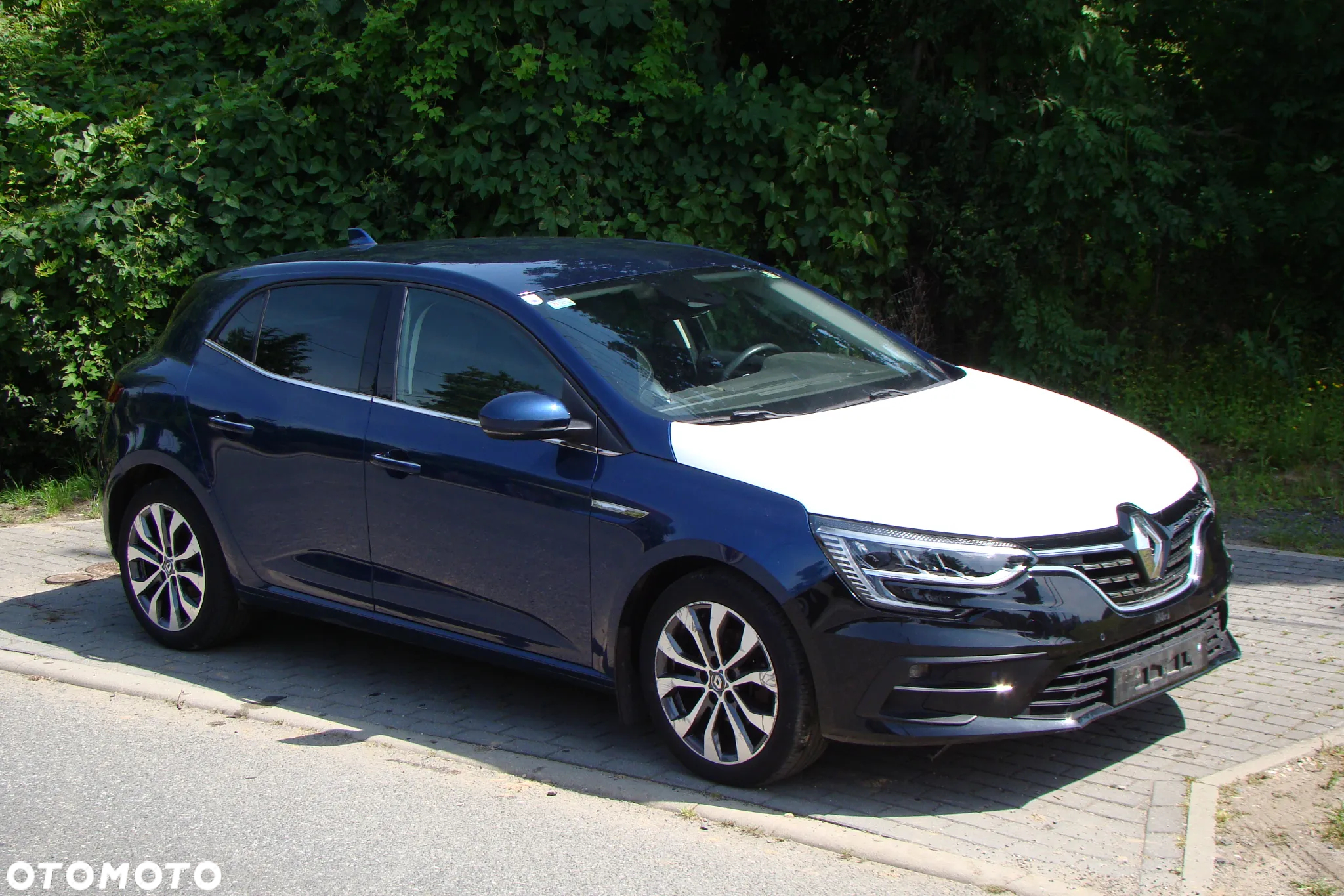 Renault Megane 1.3 TCe FAP Business - 19