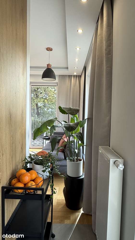 Do wynajęcia bardzo słoneczne mieszkanie o powierzchni 46 m².