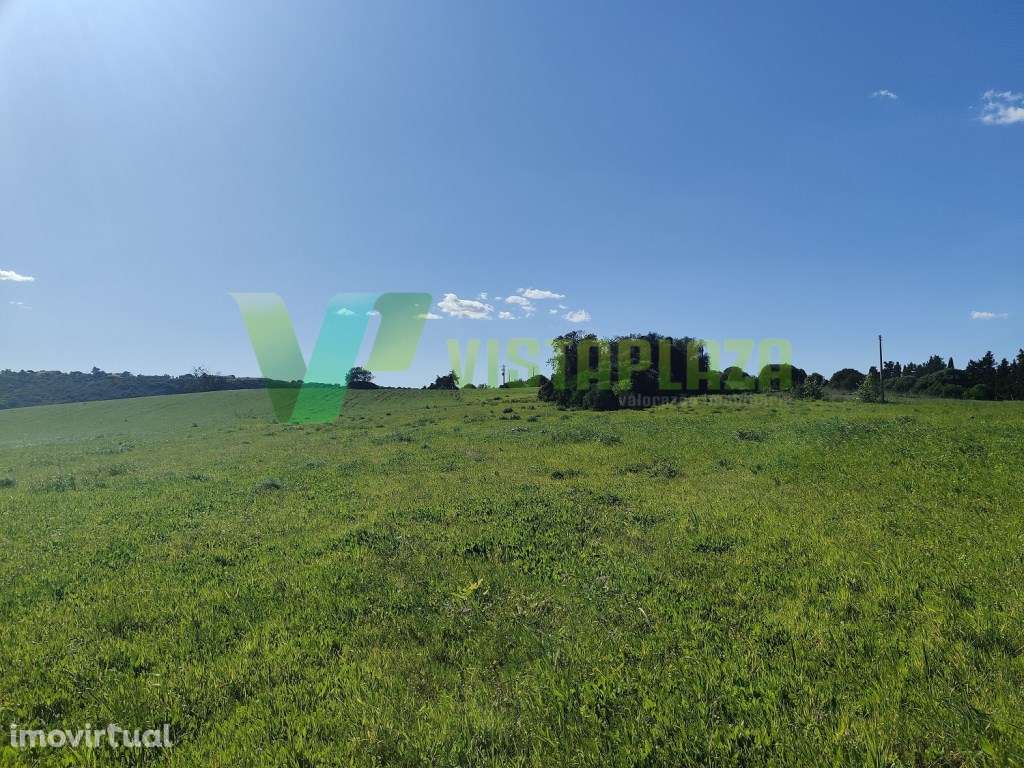 Terreno Rústico no Cotifo, Bensafrim (Lagos). - Grande imagem: 5/6