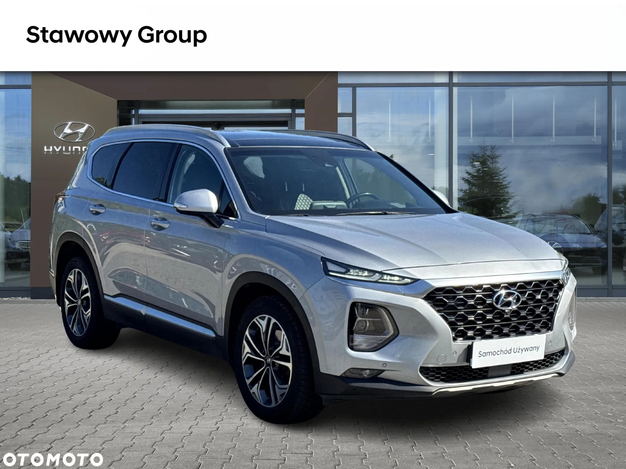 Hyundai Santa Fe 2.0 CRDi Platinum 4WD - 8
