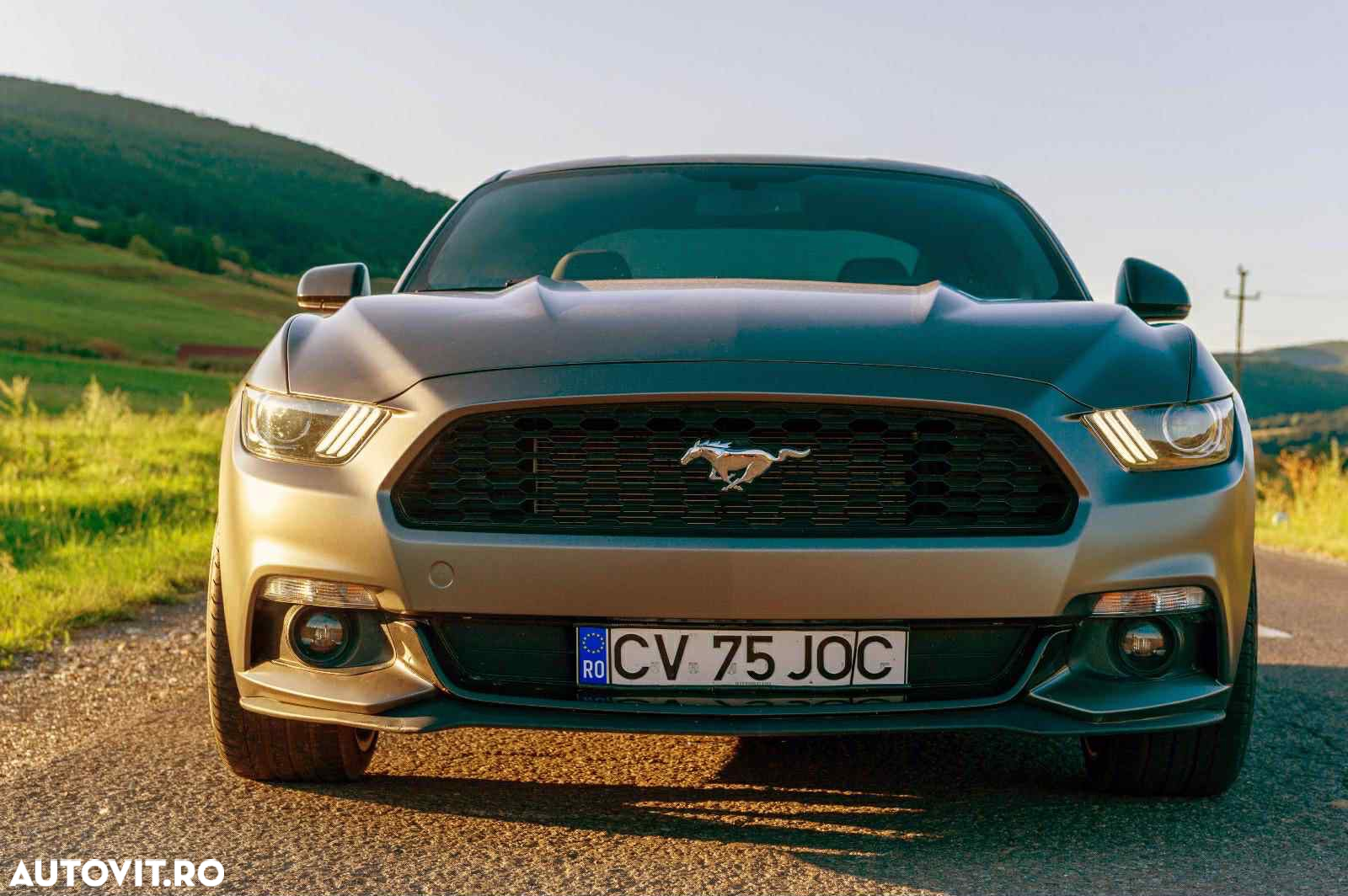 Ford Mustang - 13