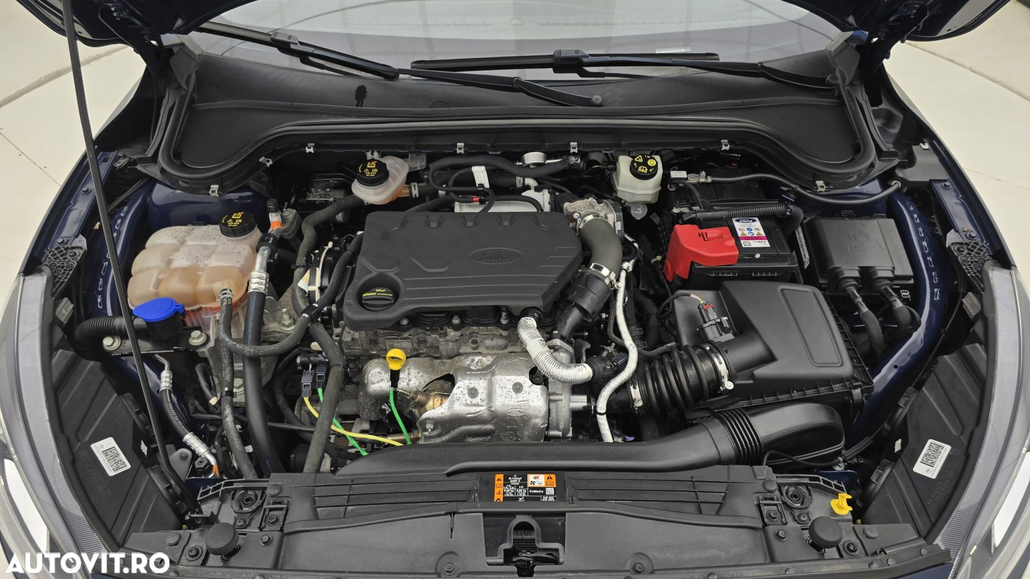 Ford Focus 1.5 EcoBlue Trend - 24