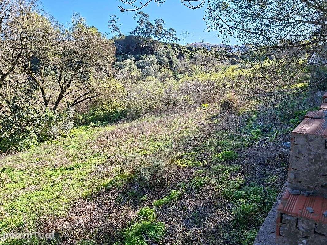 Terreno  para venda - Grande imagem: 5/9