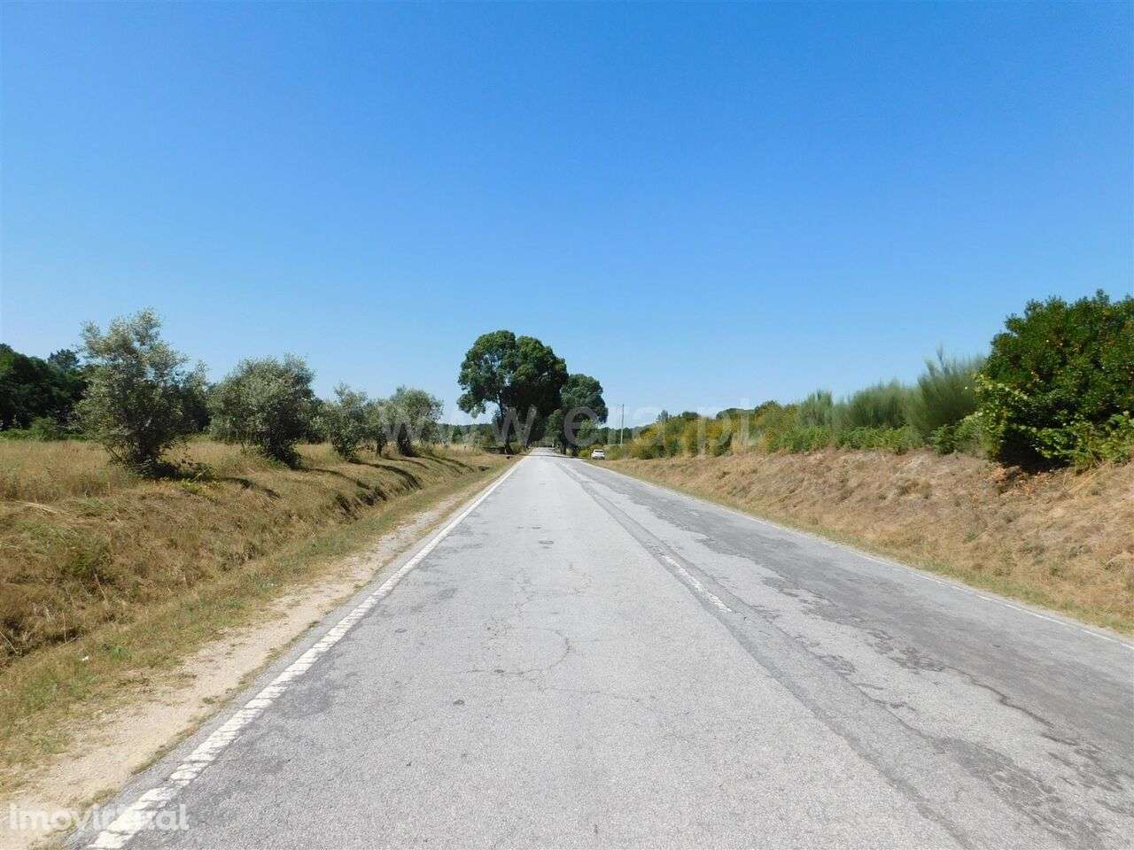 Terreno com ruina / Seia, Pinhanços - Grande imagem: 5/8