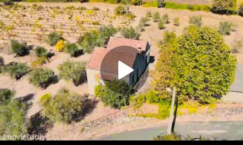 Quinta na Beira Alta - Grande imagem: 2/2