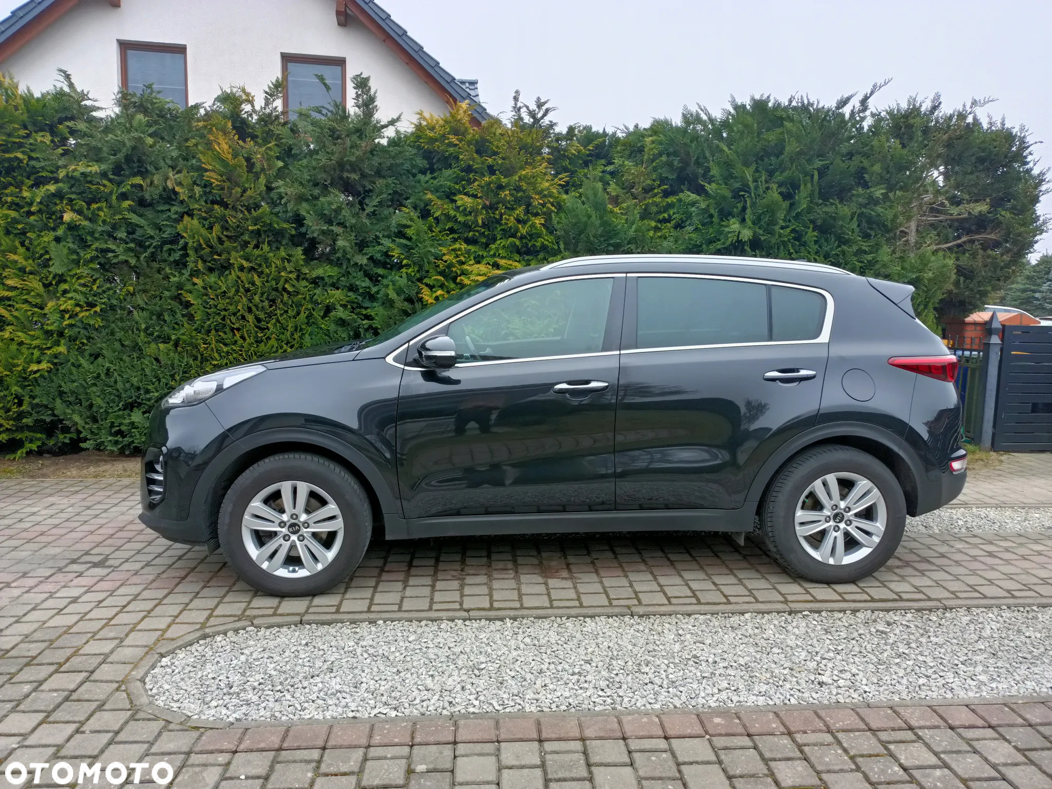 Kia Sportage - 23