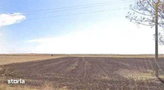 Teren extravilan cota parte 3/16 Amaru, ID: R2764932 - Imagine principală: 4/7