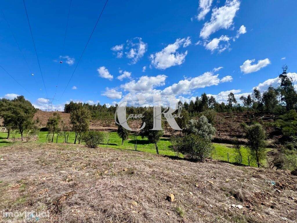 Imóvel rural com 1.8 ha, casa e poço - Grande imagem: 4/40