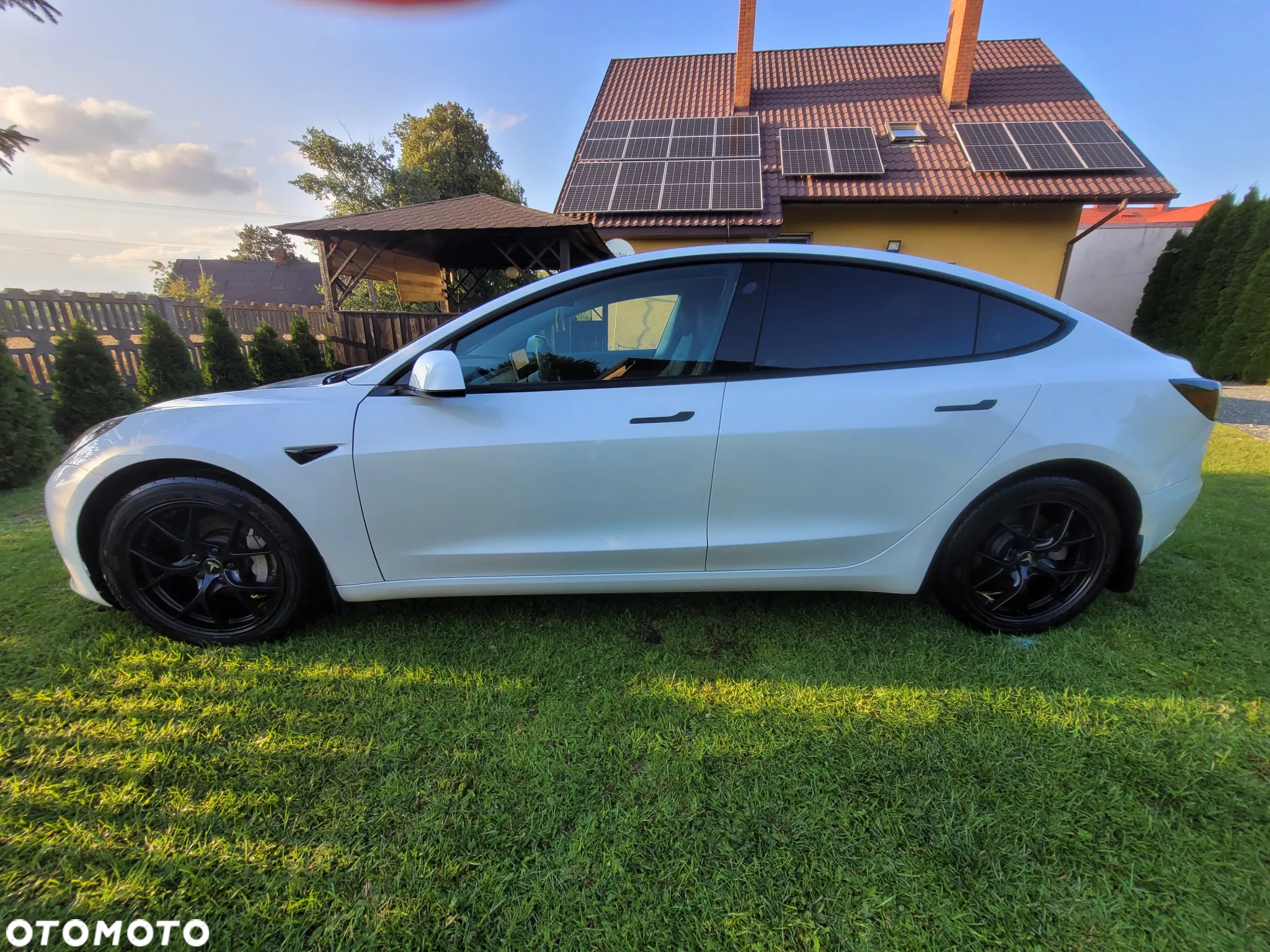 Tesla Model 3 Performance AWD - 17