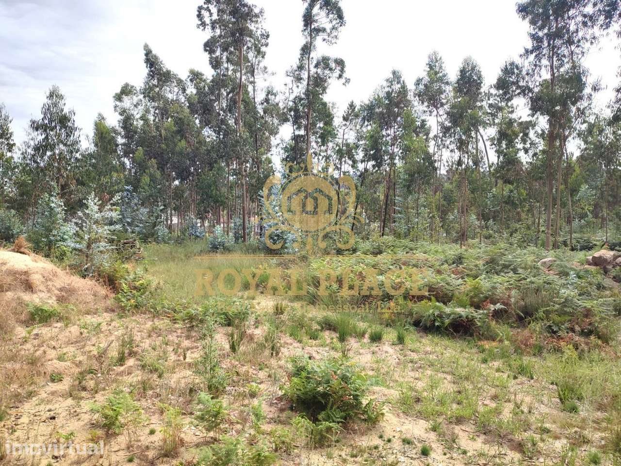 Terreno para construção com 3 168 m2 em Lobão - Grande imagem: 4/6