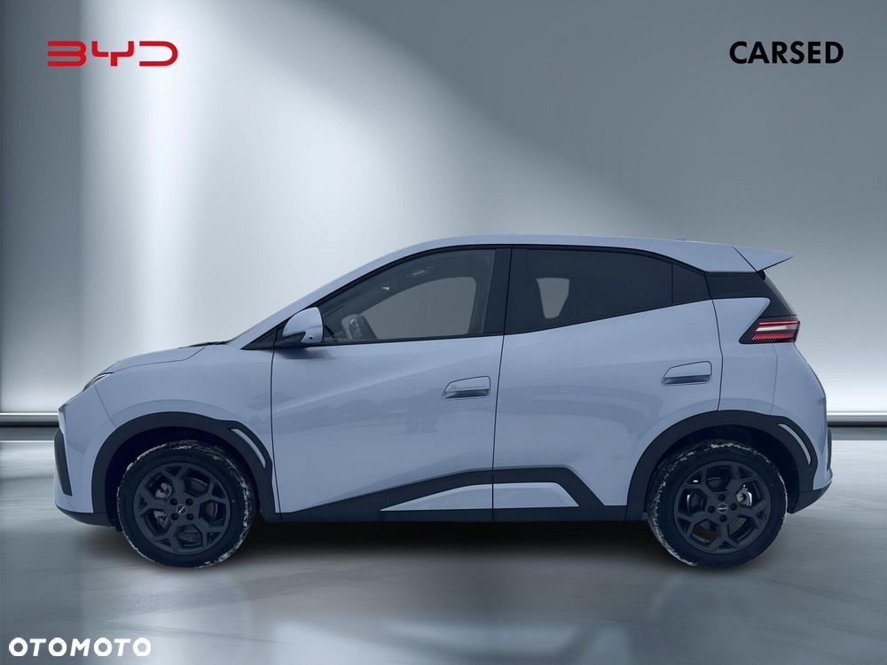 BYD Dolphin Surf - 3