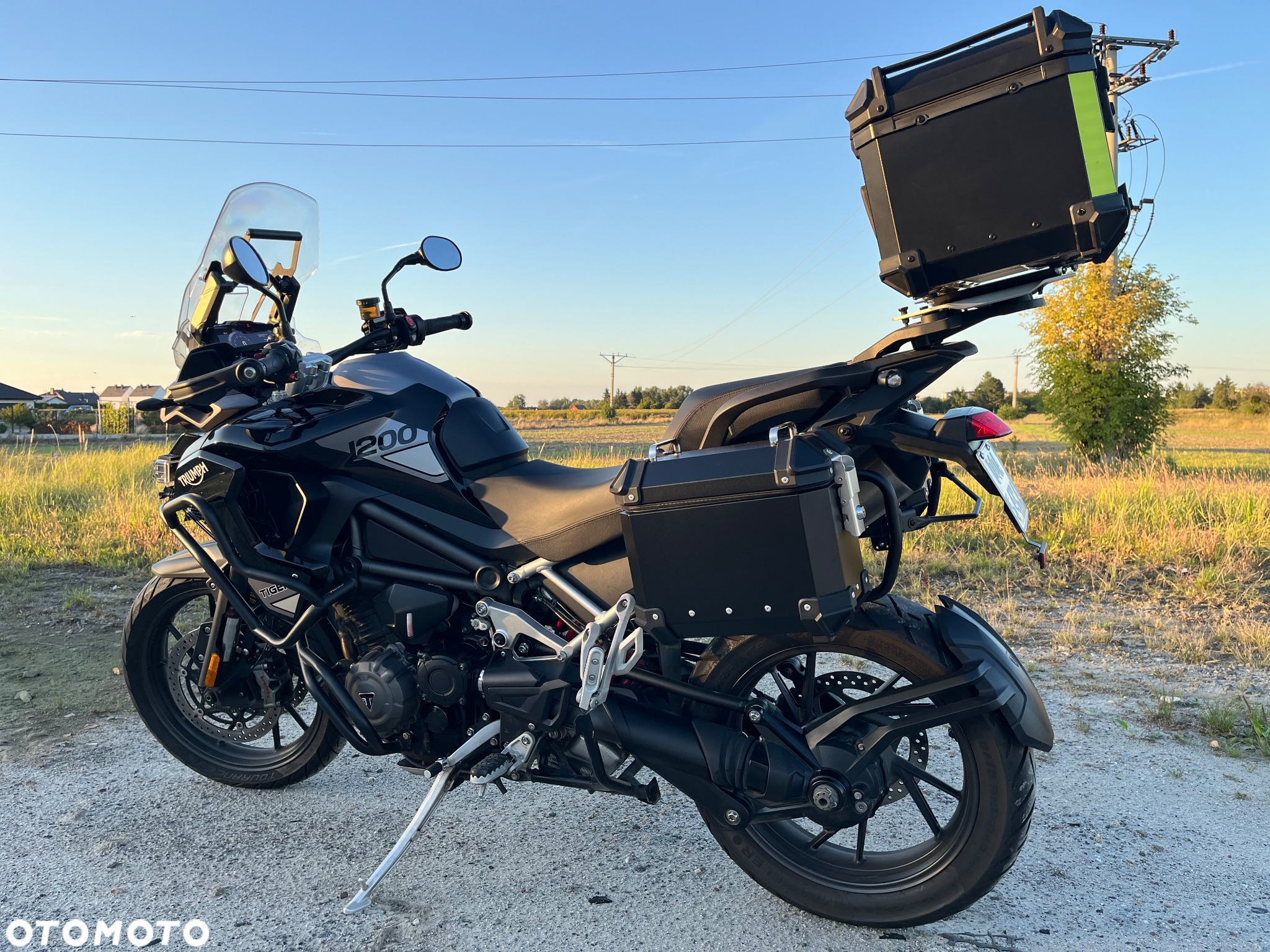 Triumph Tiger - 5