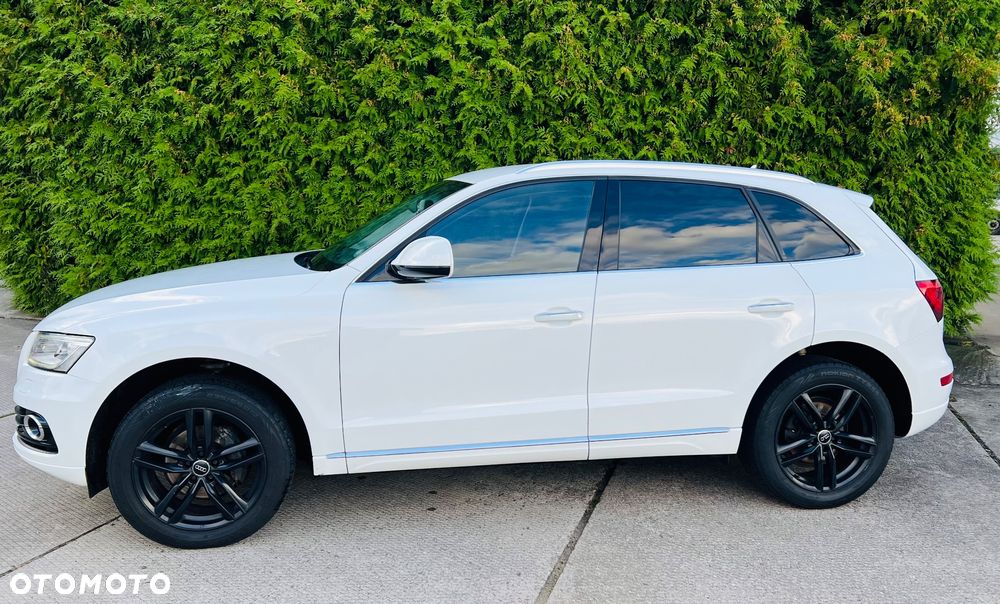 Audi Q5 - 1
