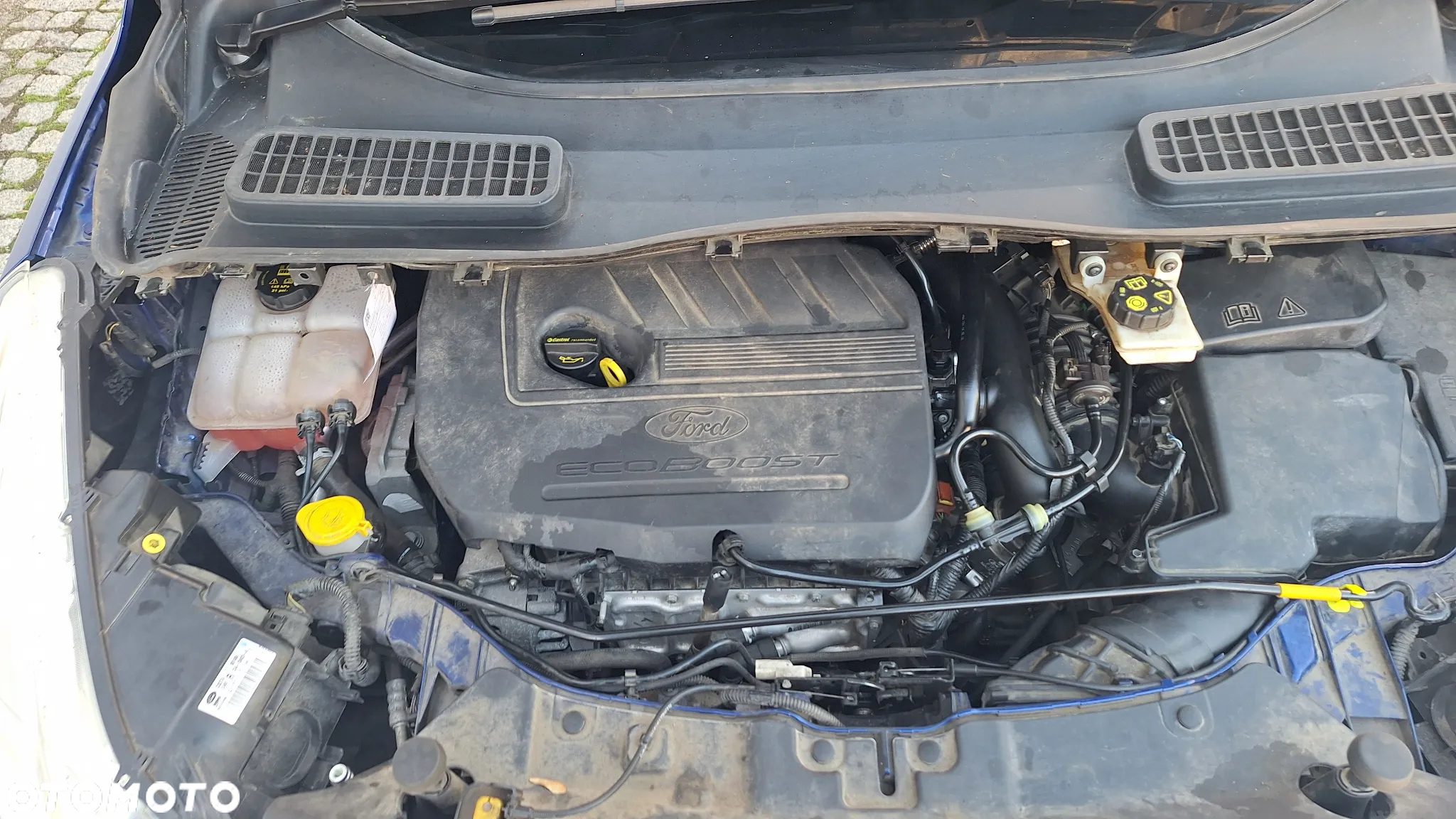 Ford Kuga 1.5 EcoBoost 2x4 Cool & Connect - 20