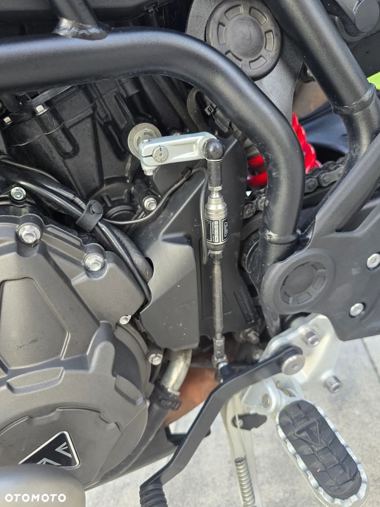 Triumph Tiger - 13