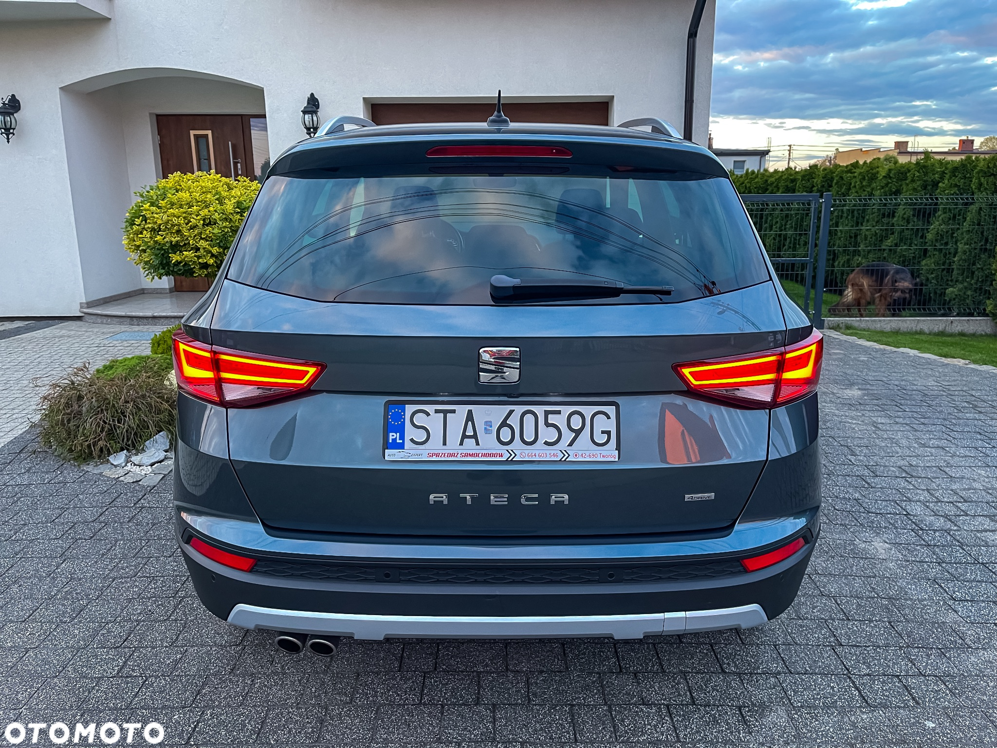 Seat Ateca 2.0 TDI Xcellence S&S 4Drive DSG - 16