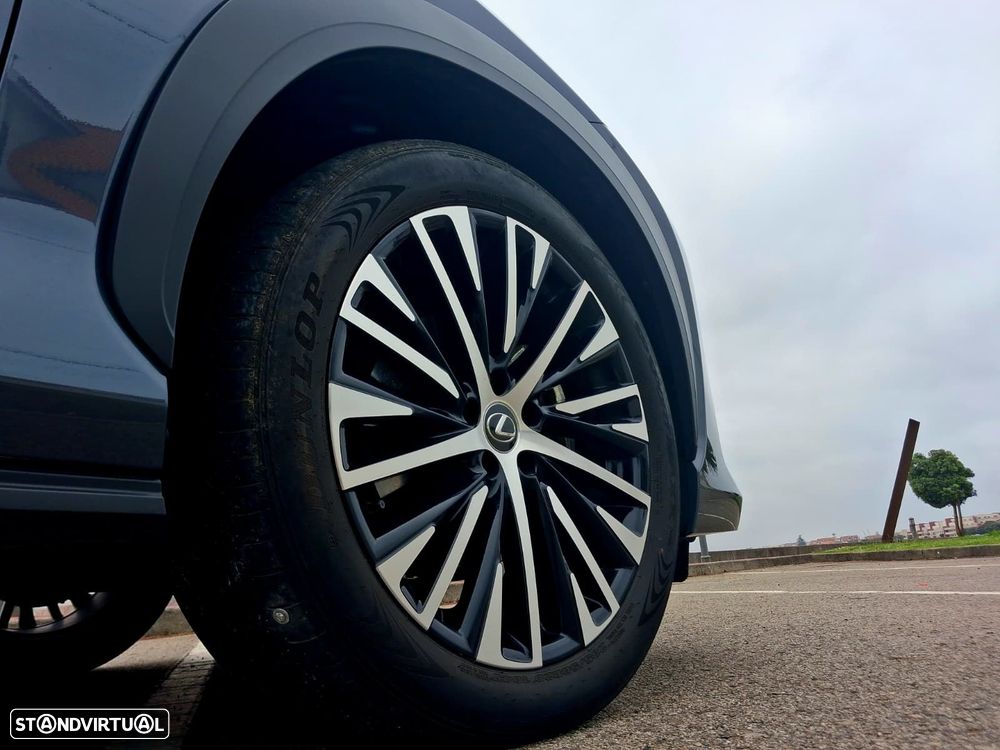 Lexus RZ 300e Premium - 21