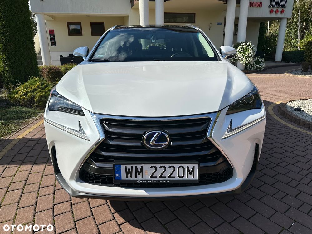 Lexus NX - 13