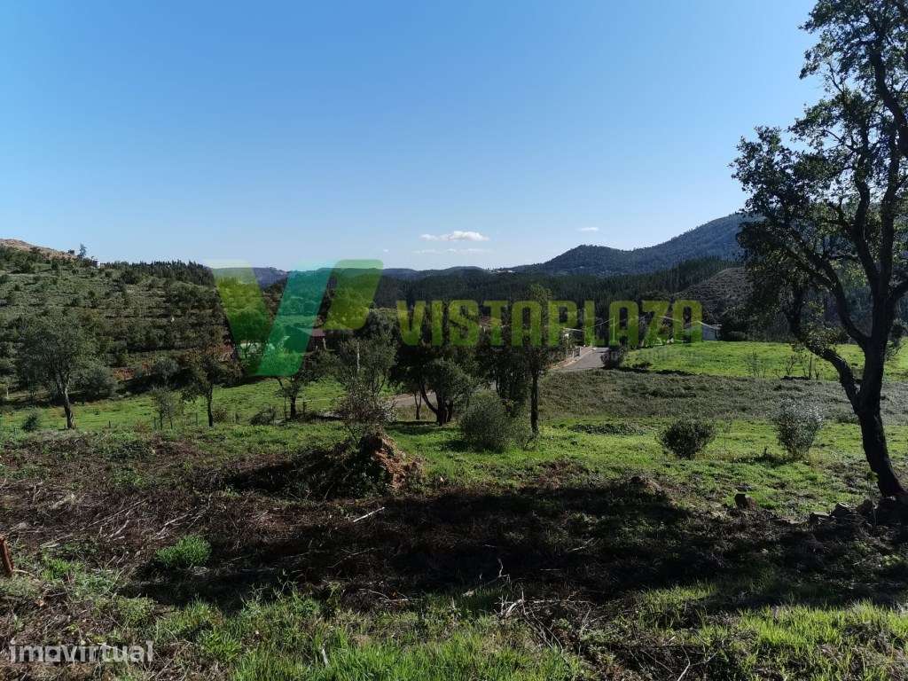 Terreno Com 5800 m2, Ruina, Furo e Luz Em Corte da Pomba , Monchique - Grande imagem: 3/12