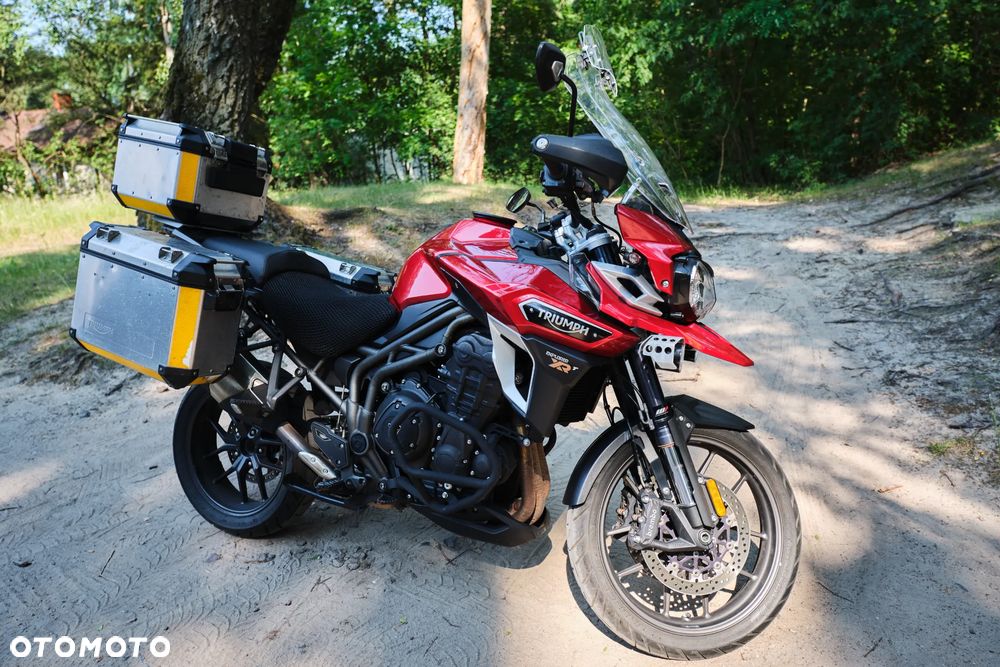 Triumph Tiger - 10