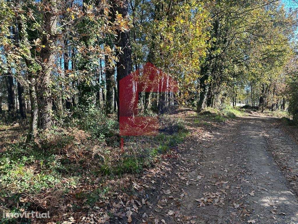 Terreno Industrial, Vila de Prado - Grande imagem: 3/12