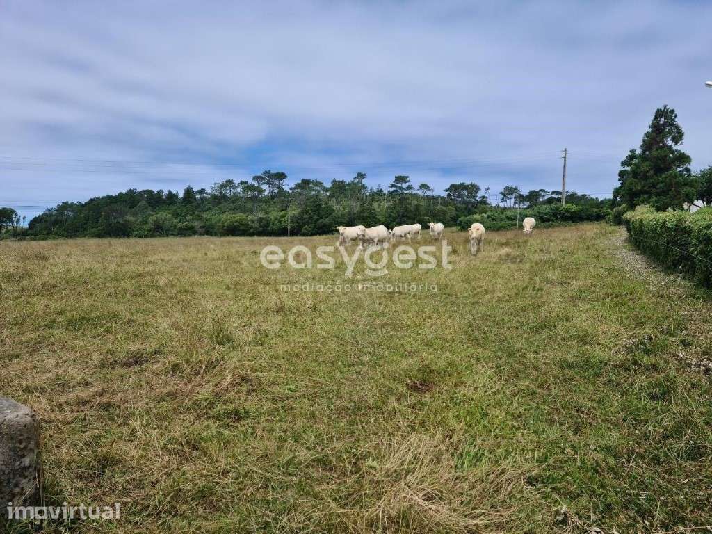 Terreno em Covões, São Pedro, Vila do Porto - Santa Maria - Grande imagem: 3/21