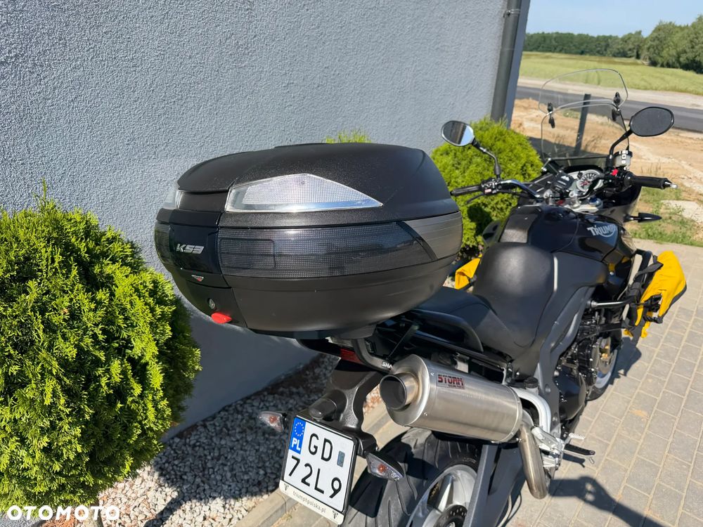 Triumph Tiger - 19