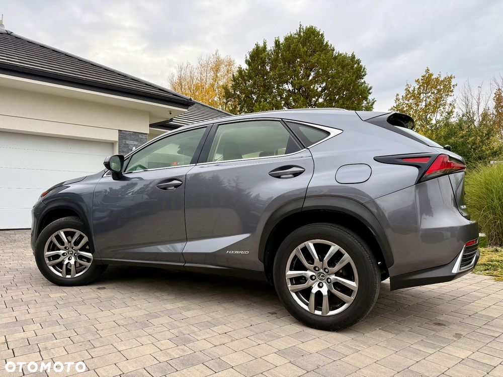 Lexus NX - 17