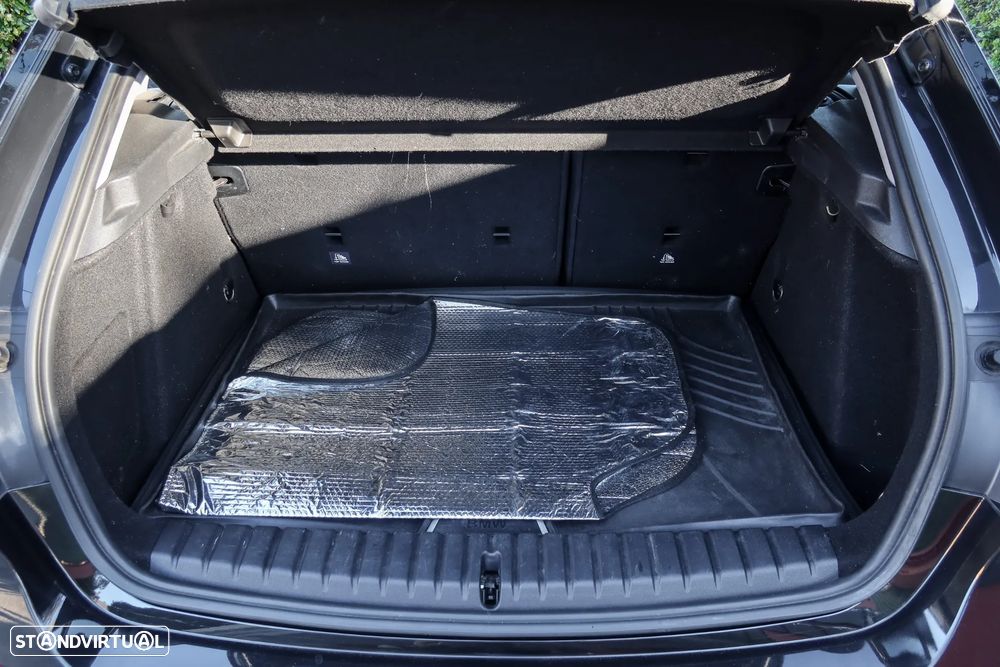 BMW 116 d Line Luxury Auto - 19