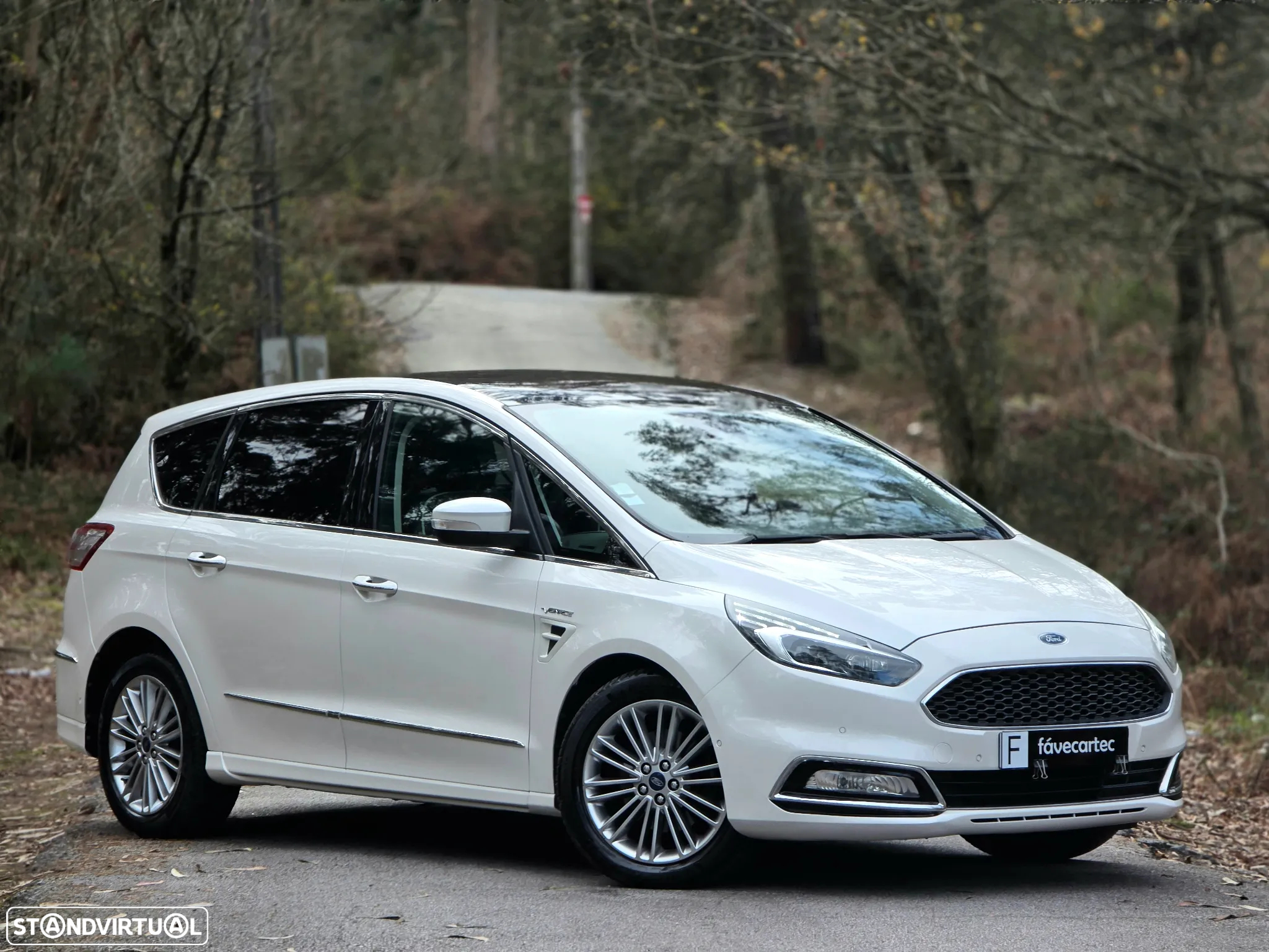 Ford S-Max 2.0 TDCi Vignale Powershift - 23