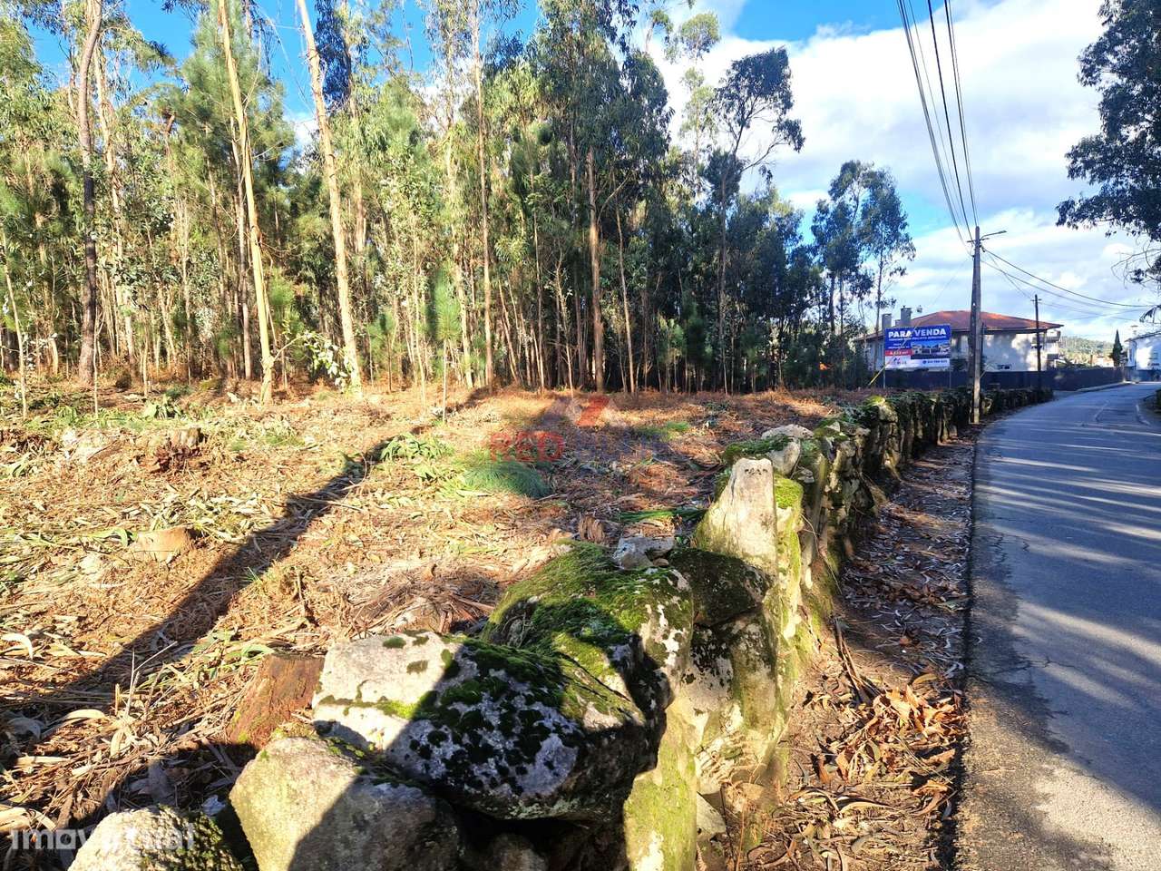 TERRENO PARA CONSTRUÇÃO, NEGREIROS, BARCELOS - Grande imagem: 2/12